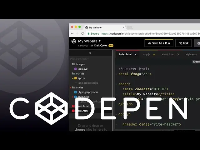 CodePen